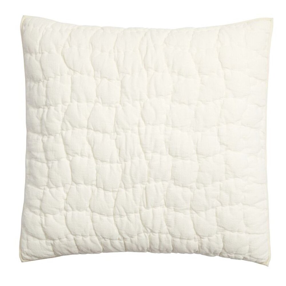 Pottery Barn Cozy Cloud Quilted Sham EURO New with Tags